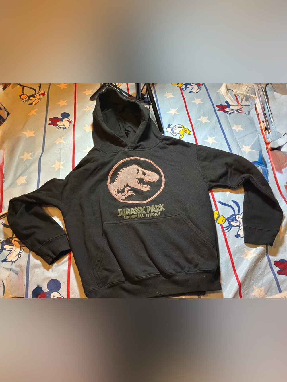 Universal studios Jurassic park pullover hoodie child size large